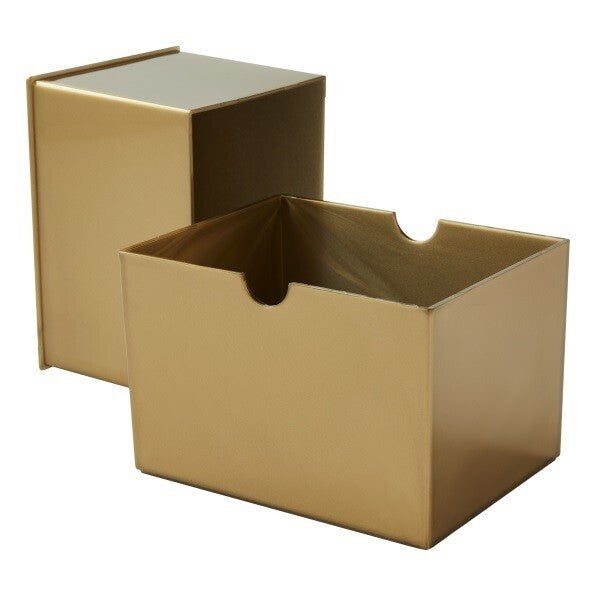 DRAGON SHIELD - Strong Box