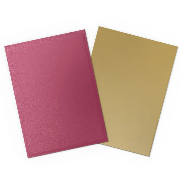 DRAGON SHIELD - Pomegranate & Gold Matte Dual Sleeves