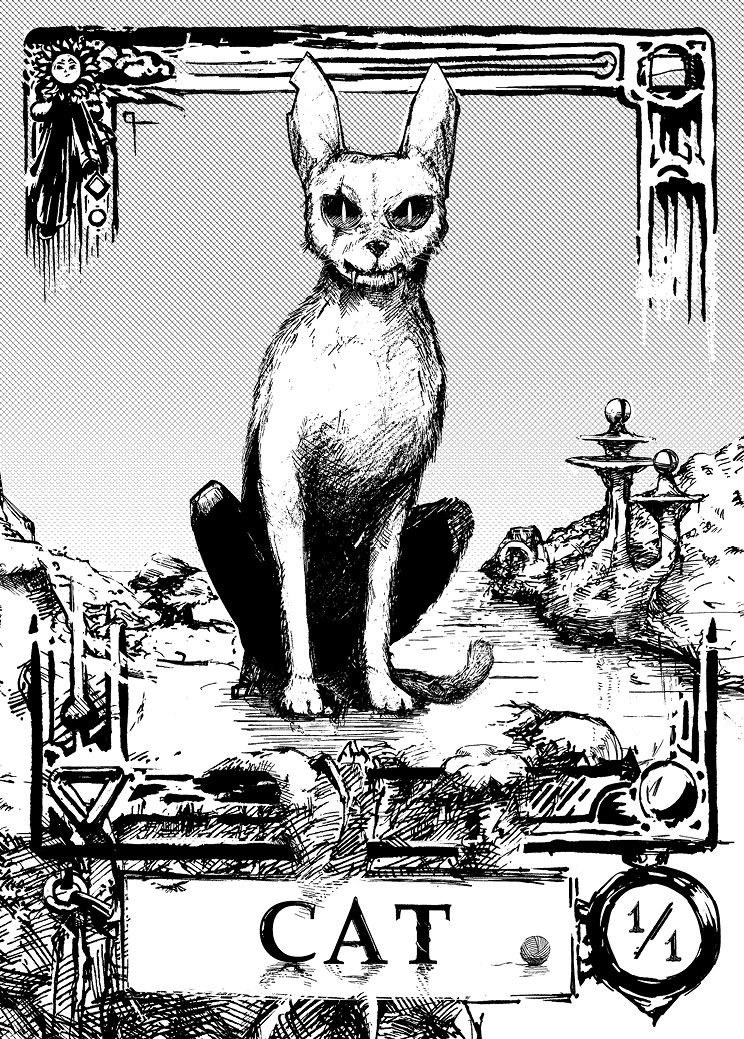 Cat - White (1/1)