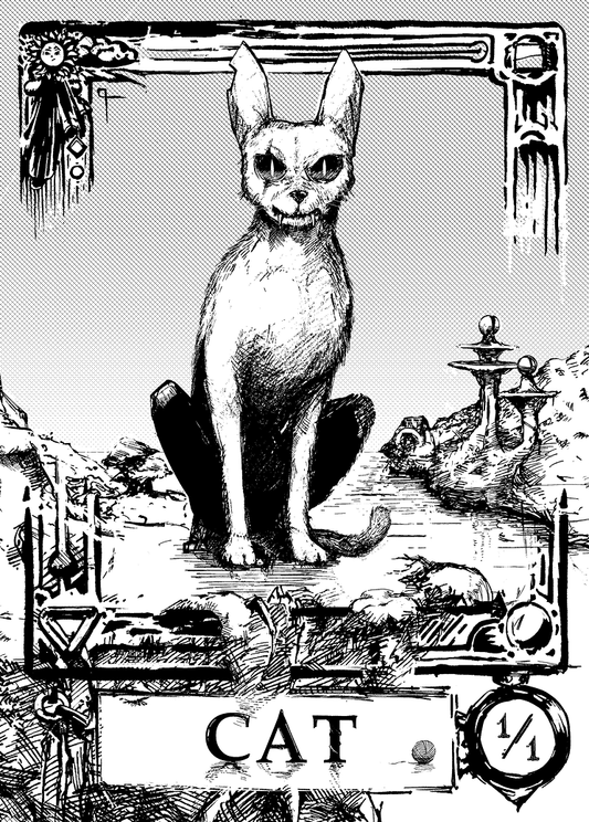 Cat - White (1/1)